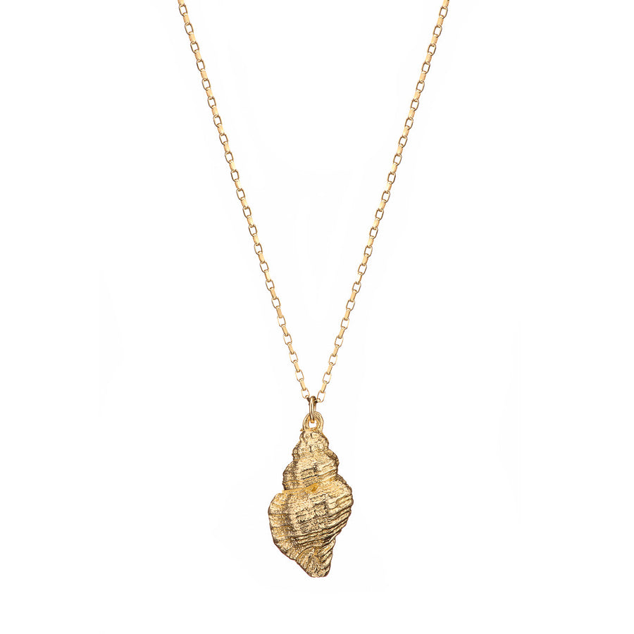 Small Conch Shell 9ct Gold Necklace