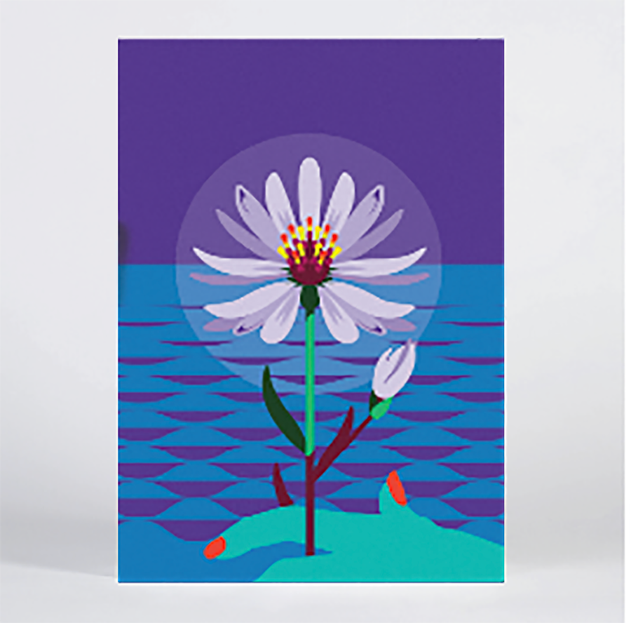 Sea Aster A4 Print