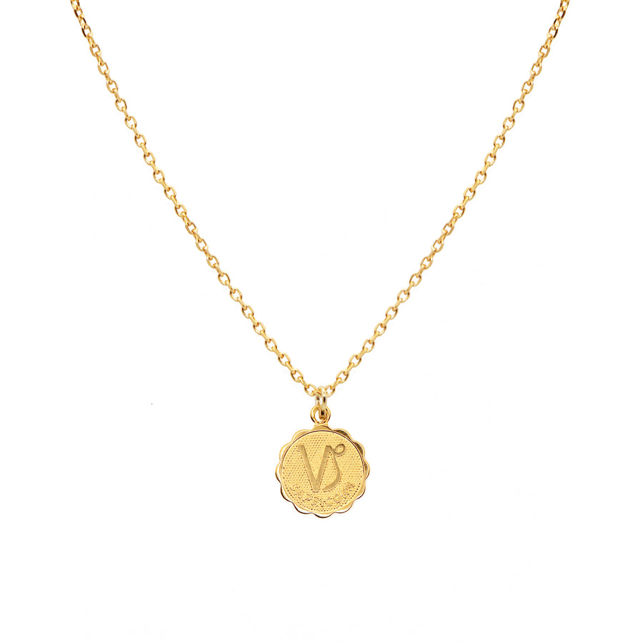 Capricorn - Star Sign Necklace