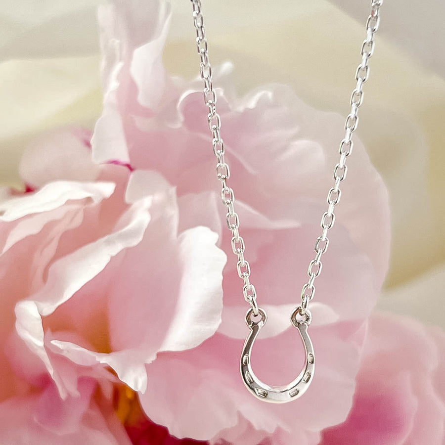 Lucky Horseshoe necklace 